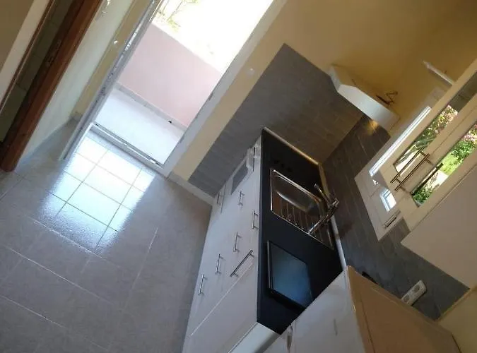 Botzoris シダリオン